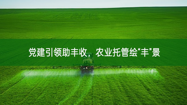 黨建引領助豐收，農業托管繪“豐”景