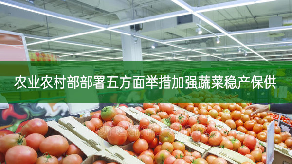 農(nóng)業(yè)農(nóng)村部部署五方面舉措加強蔬菜穩(wěn)產(chǎn)保供