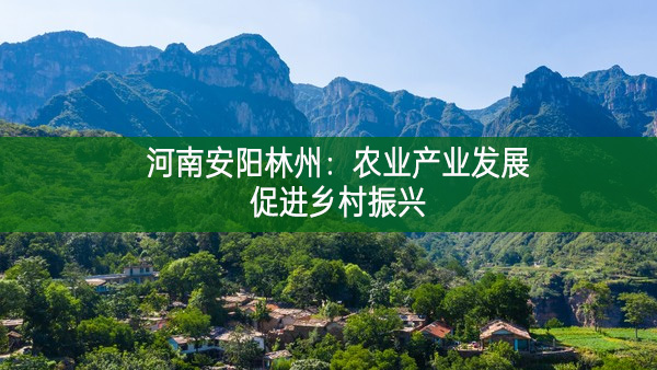 河南安陽林州：農業產業發展促進鄉村振興