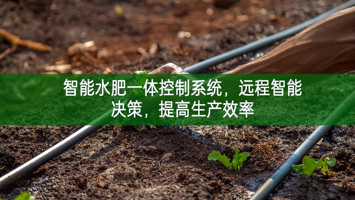 智能水肥一體控制系統，遠程智能決策，提高生產效率
