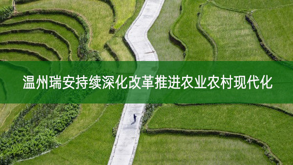 溫州瑞安持續深化改革推進農業農村現代化