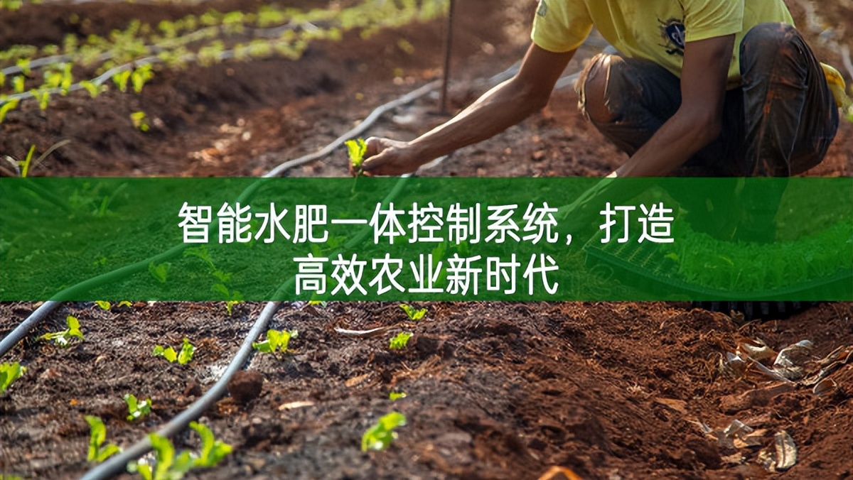 智能水肥一體控制系統，打造高效農業新時代