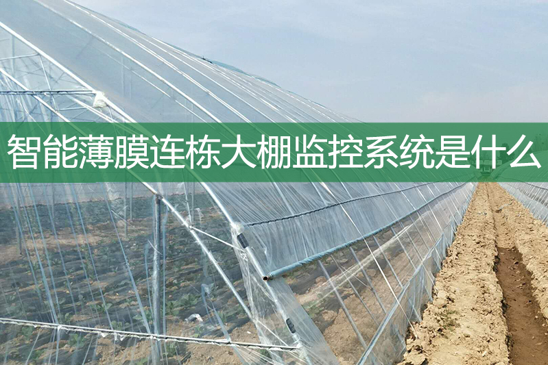智能薄膜連棟大棚監控系統是什么
