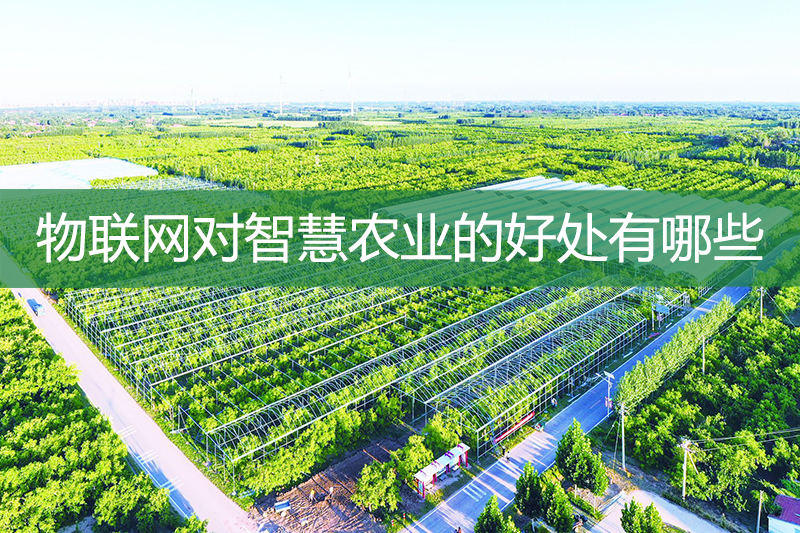 物聯(lián)網(wǎng)對智慧農(nóng)業(yè)的好處有哪些