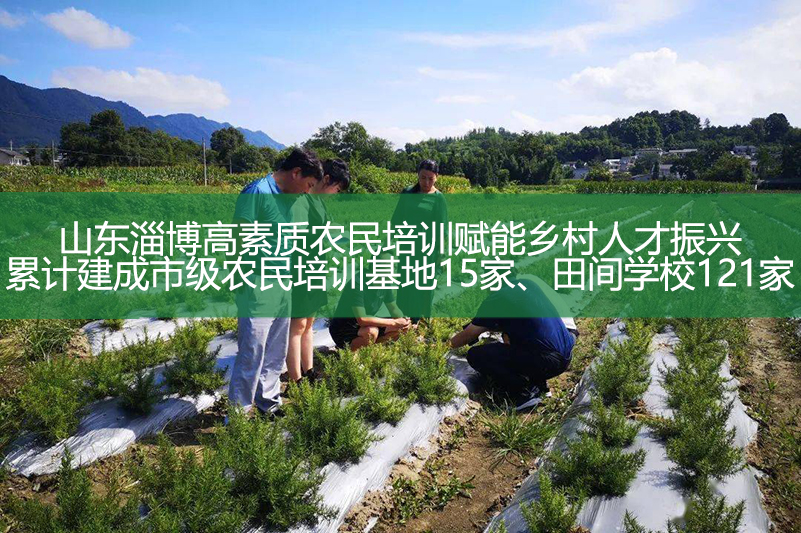 山東淄博高素質(zhì)農(nóng)民培訓(xùn)賦能鄉(xiāng)村人才振興 累計(jì)建成市級(jí)農(nóng)民培訓(xùn)基地15家、田間學(xué)校121家