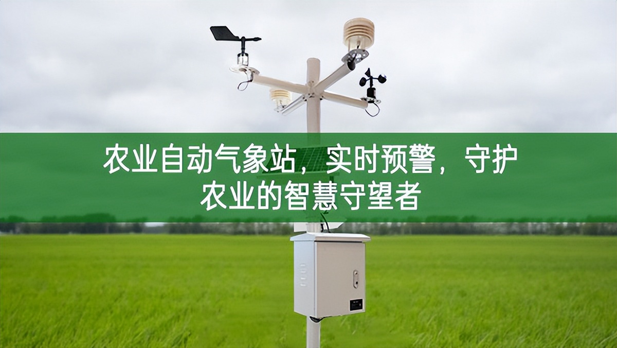農(nóng)業(yè)自動(dòng)氣象站，實(shí)時(shí)預(yù)警，守護(hù)農(nóng)業(yè)的智慧守望者
