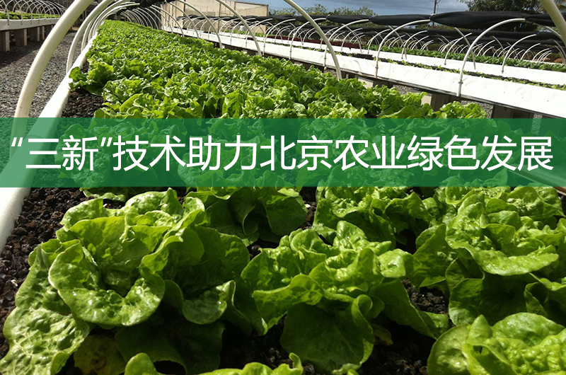 “三新”技術助力北京農業綠色發展