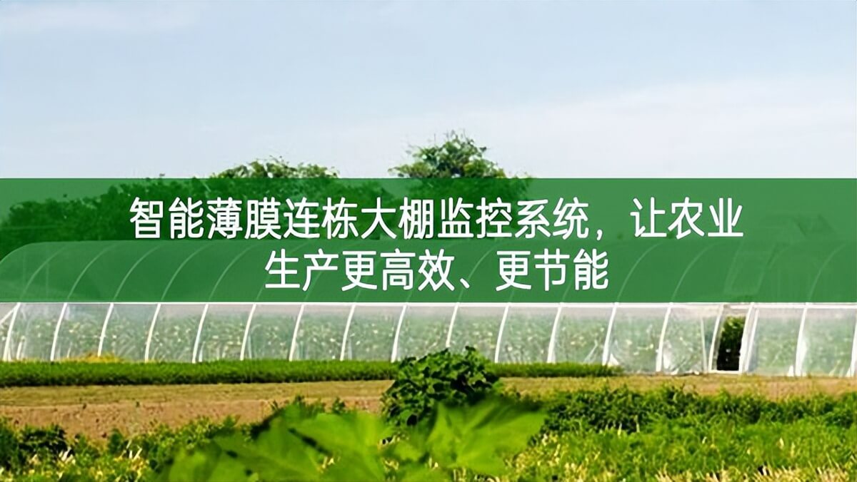 智能薄膜連棟大棚監(jiān)控系統(tǒng)，讓農(nóng)業(yè)生產(chǎn)更高效、更節(jié)能