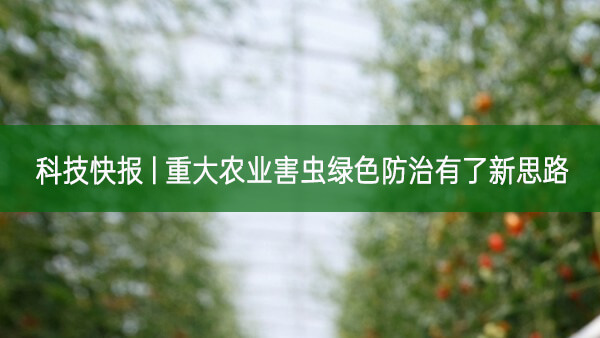 科技快報 | 重大農(nóng)業(yè)害蟲綠色防治有了新思路