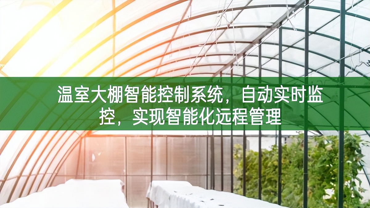 溫室大棚智能控制系統，自動實時監控，實現智能化遠程管理