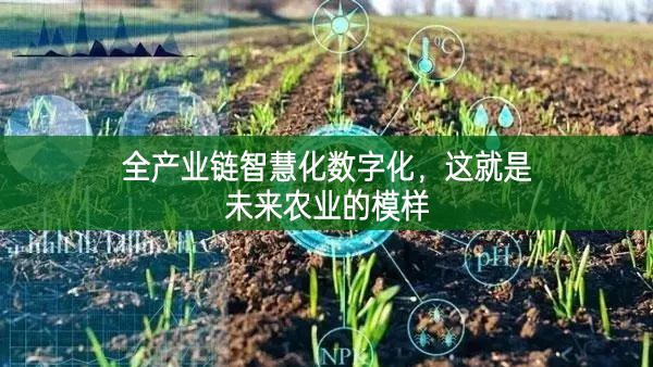 全產(chǎn)業(yè)鏈智慧化數(shù)字化，這就是未來農(nóng)業(yè)的模樣