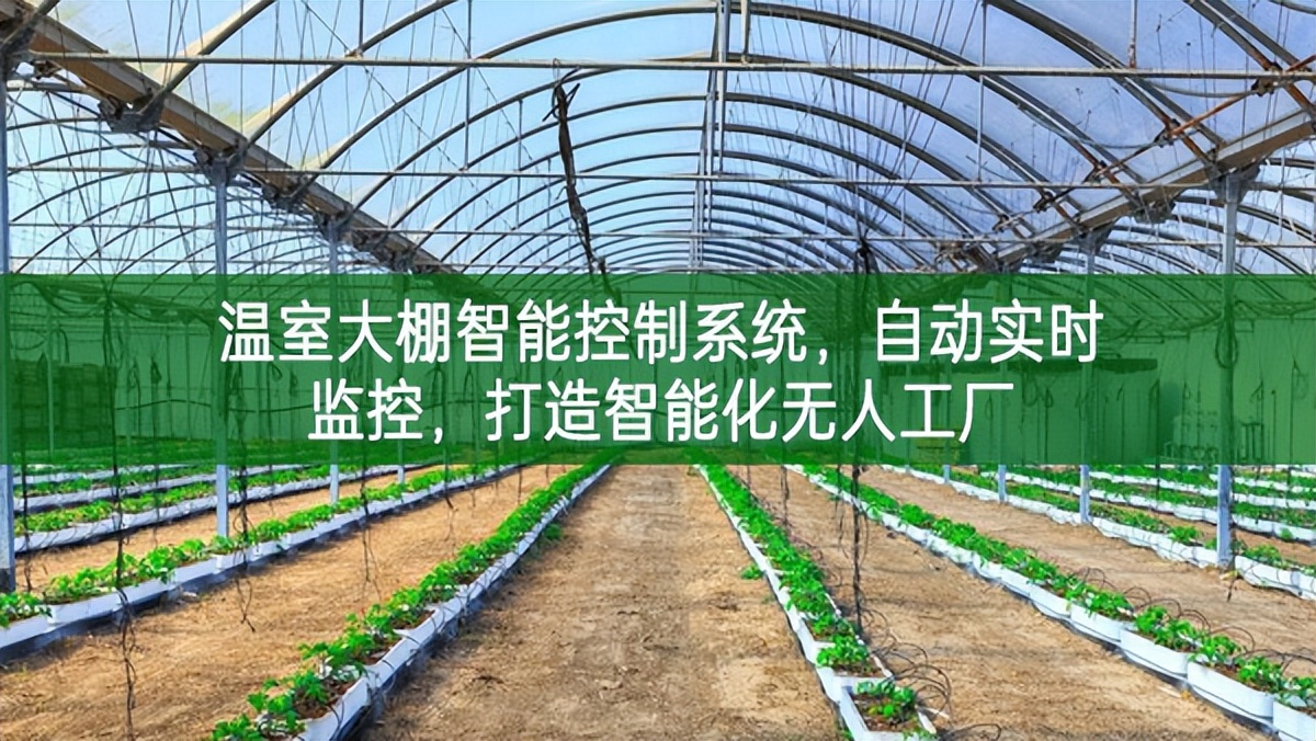 溫室大棚智能控制系統，自動實時監控，打造智能化無人工廠