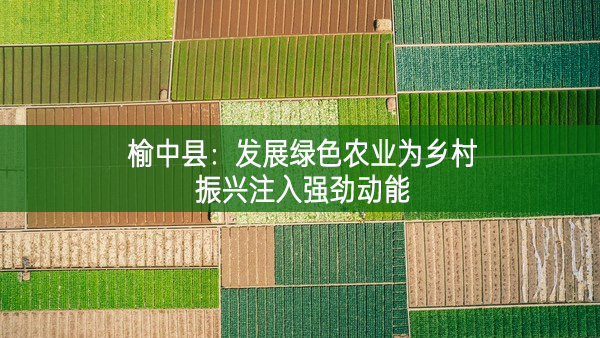 榆中縣：發(fā)展綠色農(nóng)業(yè)為鄉(xiāng)村振興注入強(qiáng)勁動(dòng)能