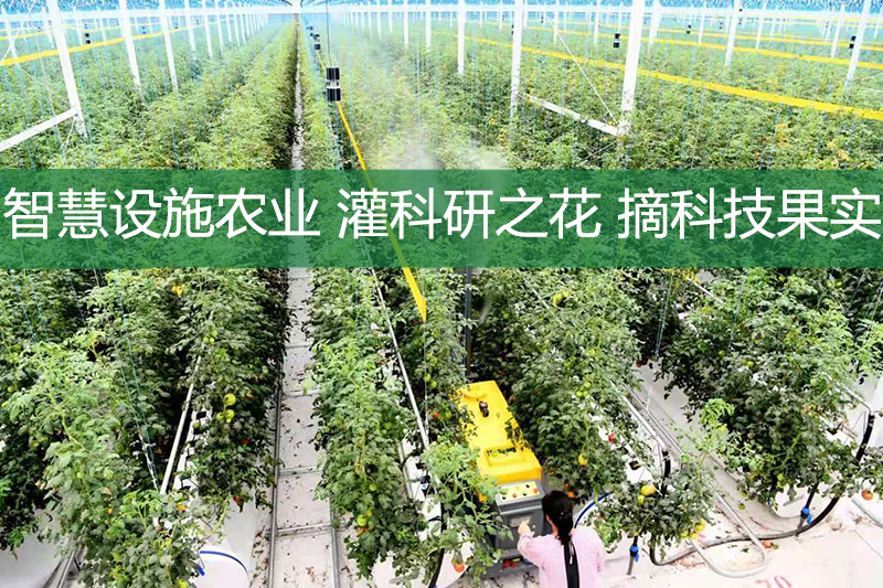 智慧設(shè)施農(nóng)業(yè)，灌科研之花，摘科技果實(shí)