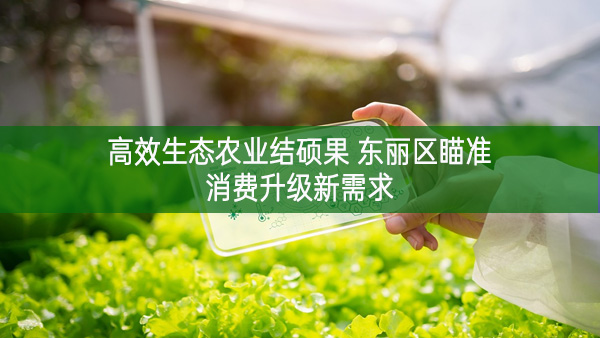 高效生態(tài)農(nóng)業(yè)結(jié)碩果 東麗區(qū)瞄準消費升級新需求 培優(yōu)做強精品農(nóng)特產(chǎn)品