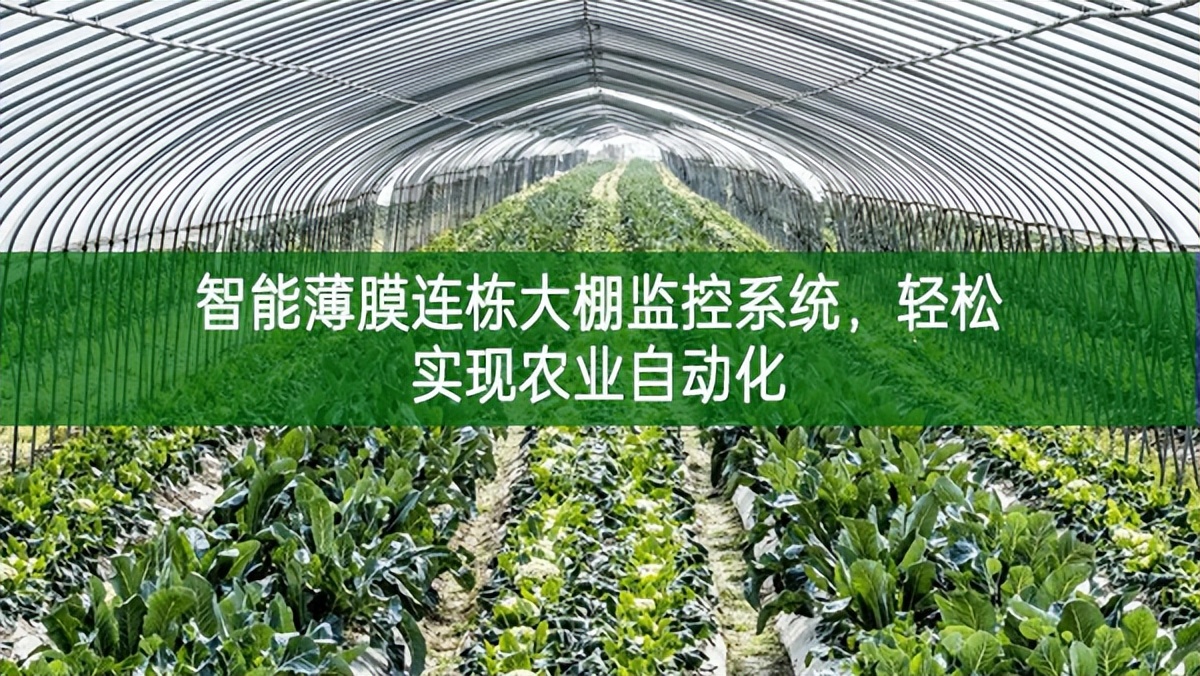 智能薄膜連棟大棚監(jiān)控系統(tǒng)，輕松實(shí)現(xiàn)農(nóng)業(yè)自動化