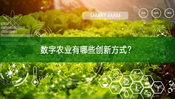 數字農業有哪些創新方式？