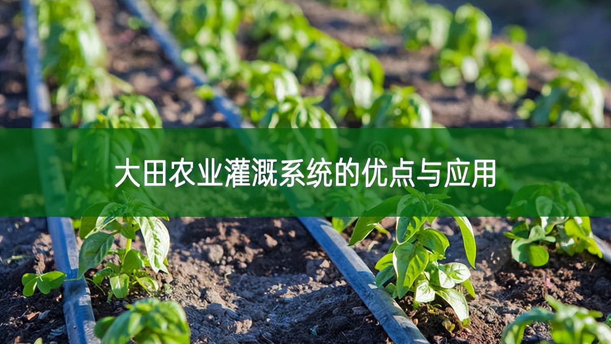 大田農(nóng)業(yè)灌溉系統(tǒng)的優(yōu)點與應用