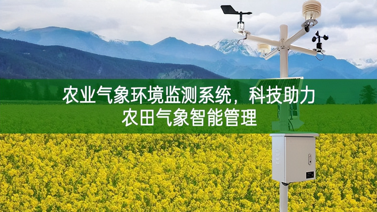 農業氣象環境監測系統，科技助力農田氣象智能管理