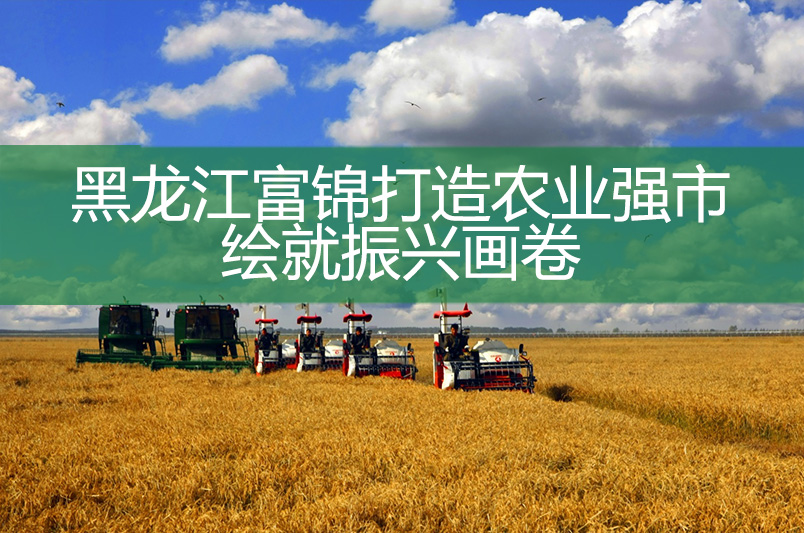 黑龍江富錦打造農業強市 繪就振興畫卷