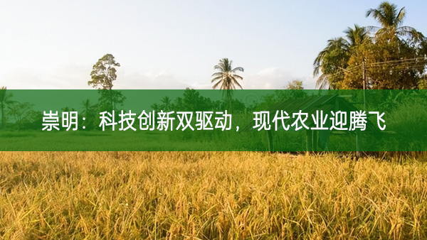 崇明：科技創(chuàng)新雙驅(qū)動 現(xiàn)代農(nóng)業(yè)迎騰飛