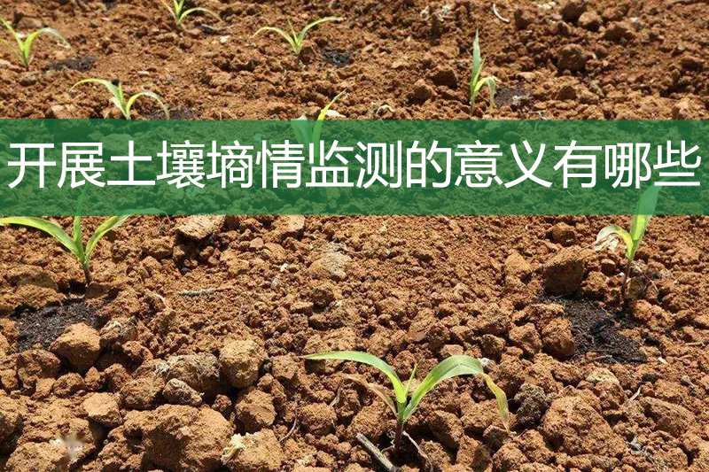 開展土壤墑情監(jiān)測的意義有哪些