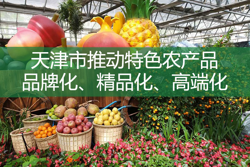 天津市推動特色農(nóng)產(chǎn)品品牌化、精品化、高端化
