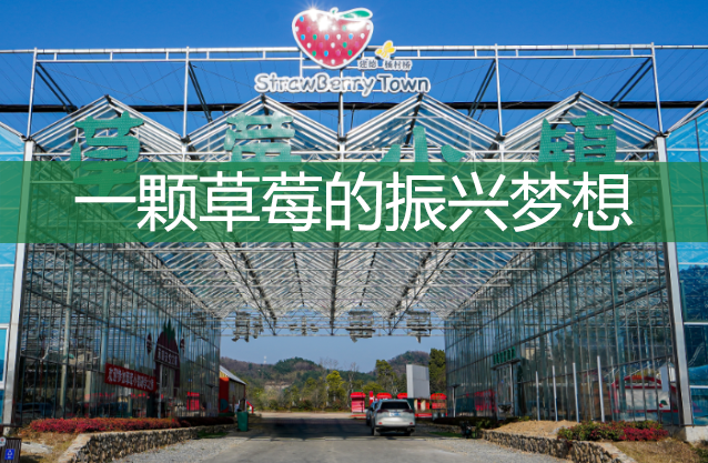 一顆草莓的振興夢(mèng)想