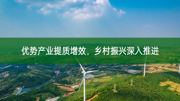 優(yōu)勢產(chǎn)業(yè)提質(zhì)增效，鄉(xiāng)村振興深入推進