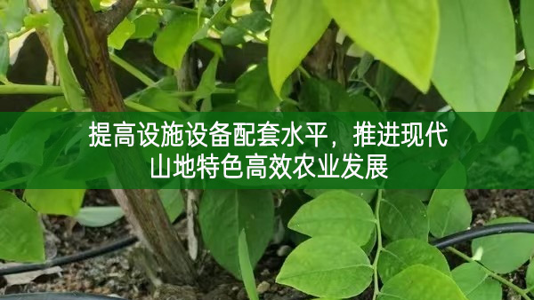 提高設(shè)施設(shè)備配套水平，推進(jìn)現(xiàn)代山地特色高效農(nóng)業(yè)發(fā)展