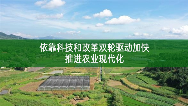 依靠科技和改革雙輪驅(qū)動(dòng)加快推進(jìn)農(nóng)業(yè)現(xiàn)代化