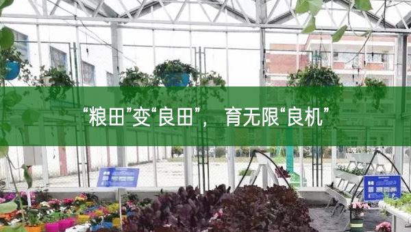 “糧田”變“良田”， 育無限“良機”