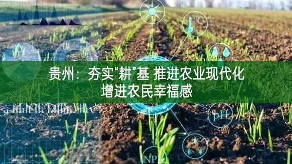 貴州：夯實(shí)“耕”基 推進(jìn)農(nóng)業(yè)現(xiàn)代化增進(jìn)農(nóng)民幸福感