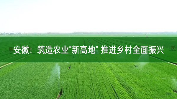 安徽：筑造農(nóng)業(yè)“新高地” 推進鄉(xiāng)村全面振興