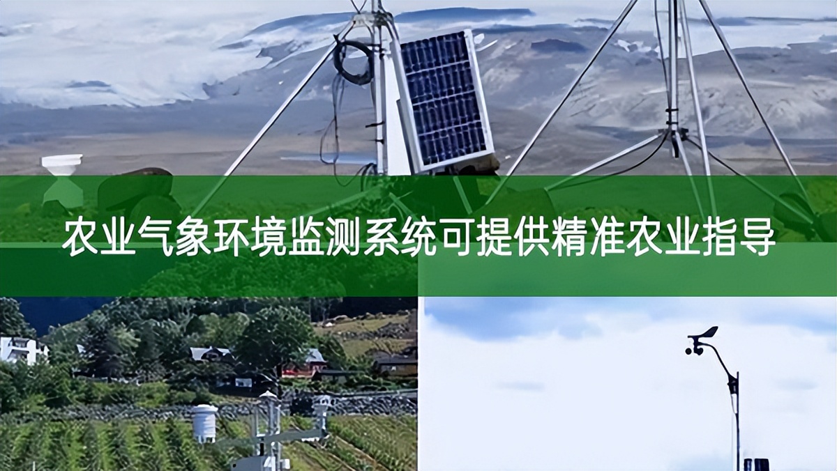農業氣象環境監測系統可提供精準農業指導
