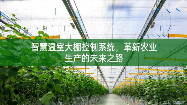 智慧溫室大棚控制系統(tǒng)，革新農業(yè)生產的未來之路