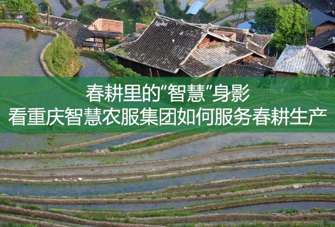 春耕里的“智慧”身影——看重慶智慧農(nóng)服集團(tuán)如何服務(wù)春耕生產(chǎn)