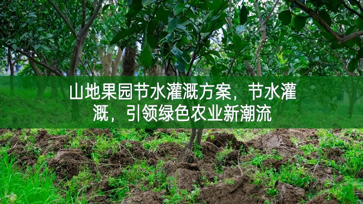 山地果園節水灌溉方案，節水灌溉，引領綠色農業新潮流