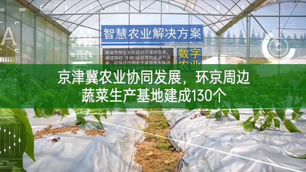 京津冀農(nóng)業(yè)協(xié)同發(fā)展，環(huán)京周邊蔬菜生產(chǎn)基地建成130個(gè)