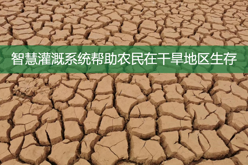 智慧灌溉系統幫助農民在干旱地區生存