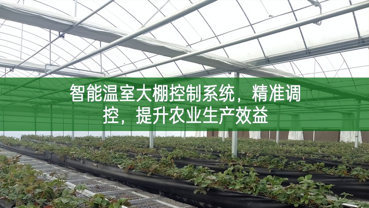 智能溫室大棚控制系統(tǒng)，精準(zhǔn)調(diào)控，提升農(nóng)業(yè)生產(chǎn)效益