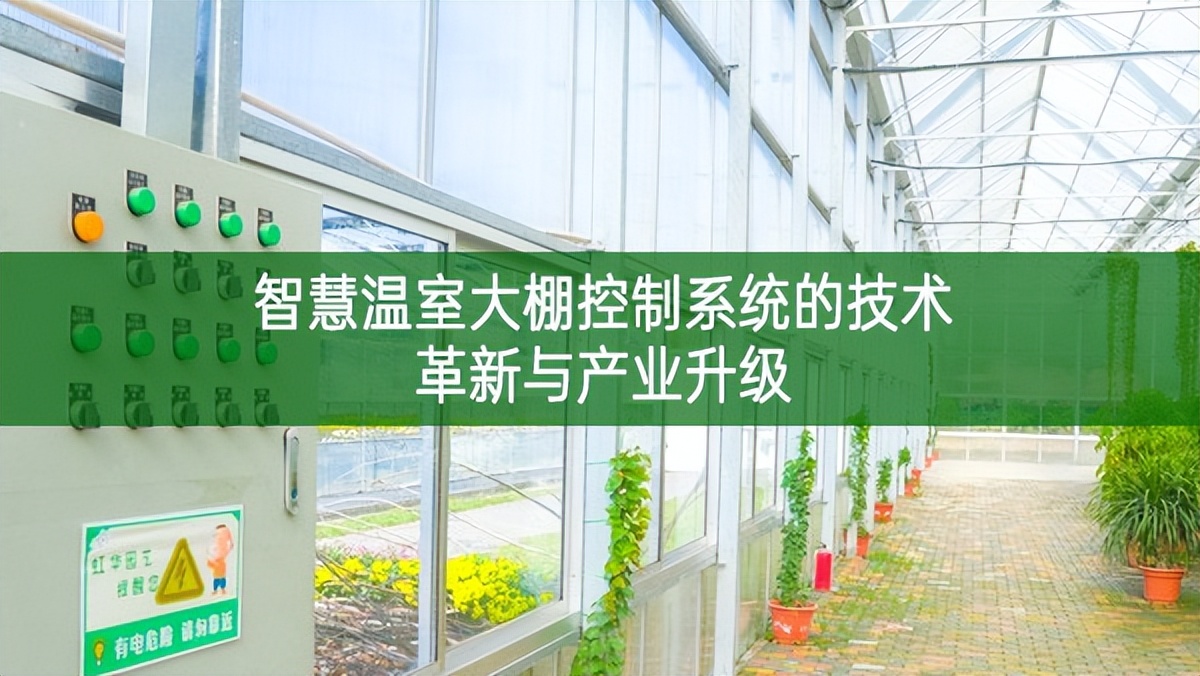 智慧溫室大棚控制系統(tǒng)的技術革新與產業(yè)升級