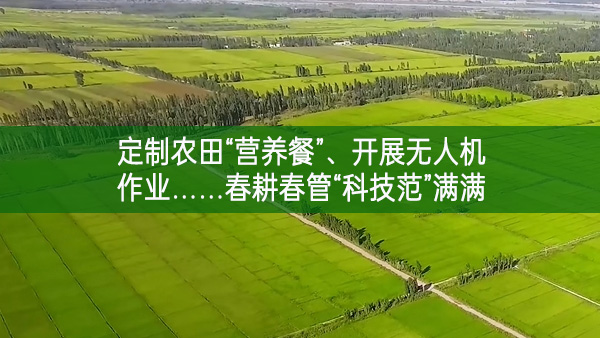 定制農(nóng)田“營養(yǎng)餐”、開展無人機(jī)作業(yè)……春耕春管“科技范”滿滿
