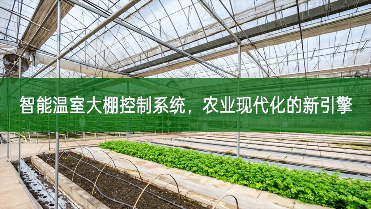 智能溫室大棚控制系統(tǒng)，農(nóng)業(yè)現(xiàn)代化的新引擎