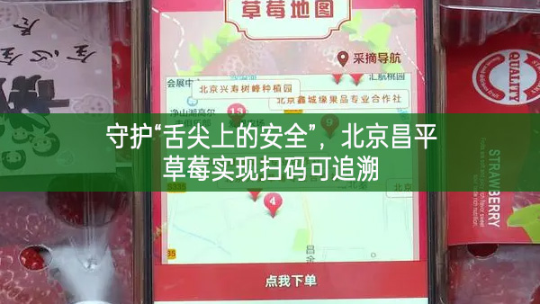 守護“舌尖上的安全”，北京昌平草莓實現(xiàn)掃碼可追溯