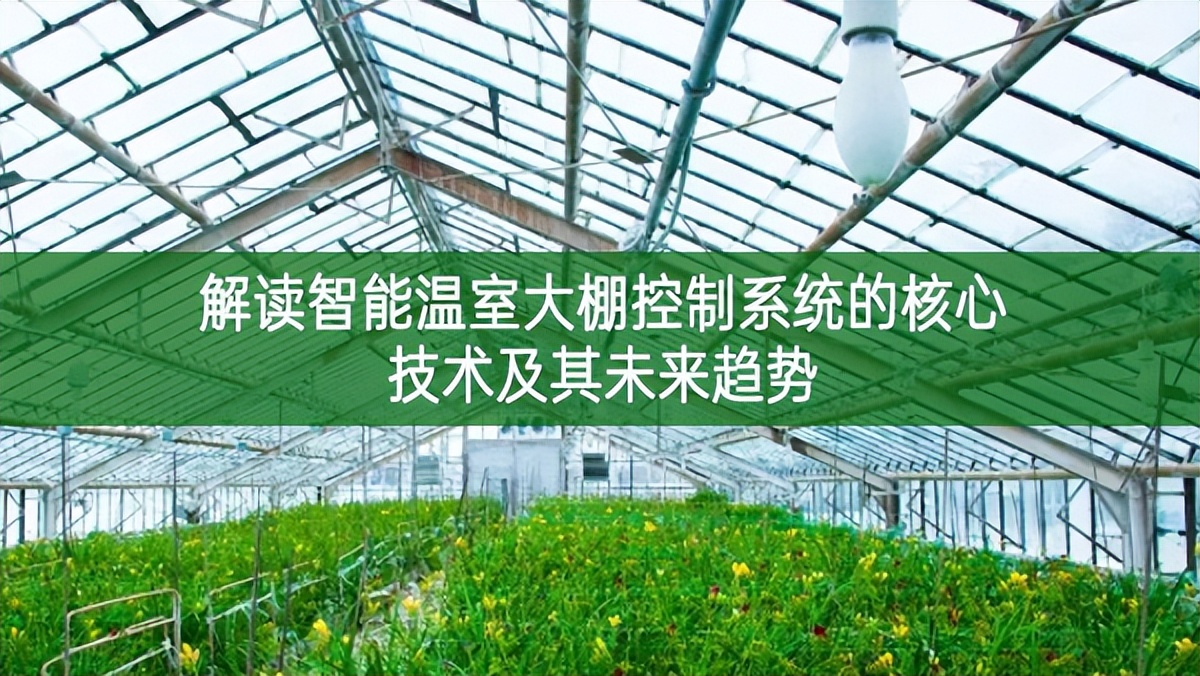 解讀智能溫室大棚控制系統(tǒng)的核心技術(shù)及其未來趨勢