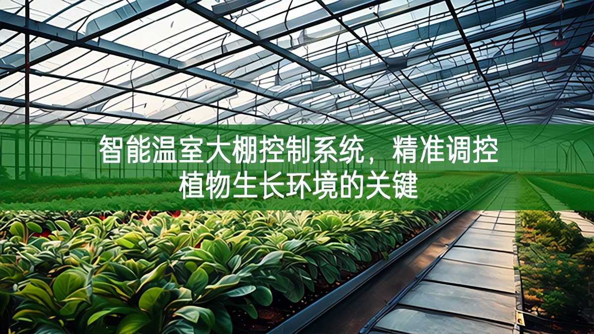 智能溫室大棚控制系統(tǒng)，精準(zhǔn)調(diào)控植物生長環(huán)境的關(guān)鍵