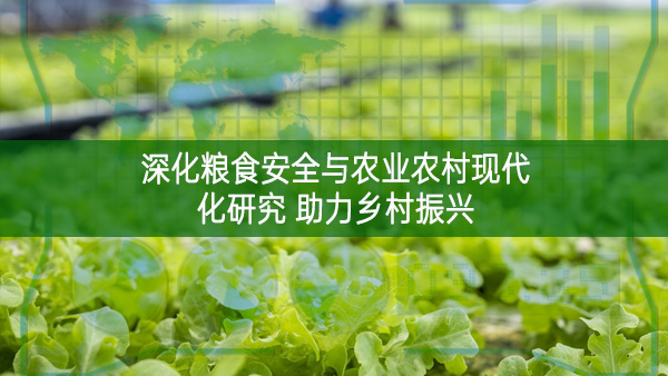深化糧食安全與農(nóng)業(yè)農(nóng)村現(xiàn)代化研究 助力鄉(xiāng)村振興
