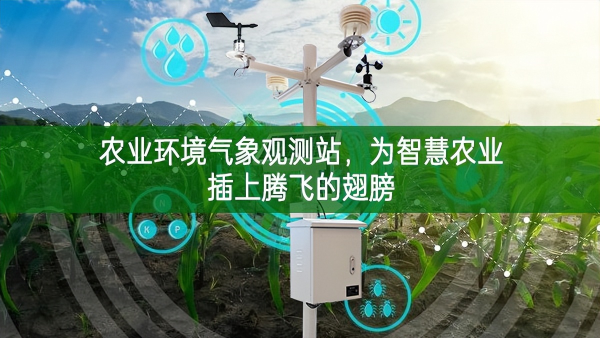 農(nóng)業(yè)環(huán)境氣象觀測站，為智慧農(nóng)業(yè)插上騰飛的翅膀