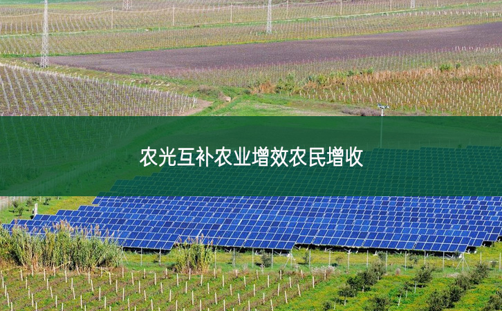 農(nóng)光互補(bǔ)農(nóng)業(yè)增效農(nóng)民增收